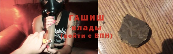 стафф Новодвинск