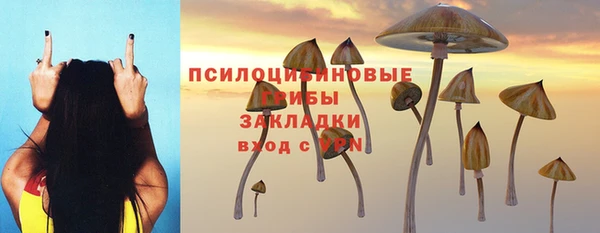 стафф Новодвинск