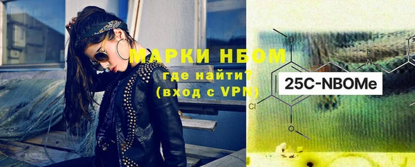 стафф Новодвинск