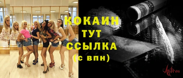 стафф Новодвинск